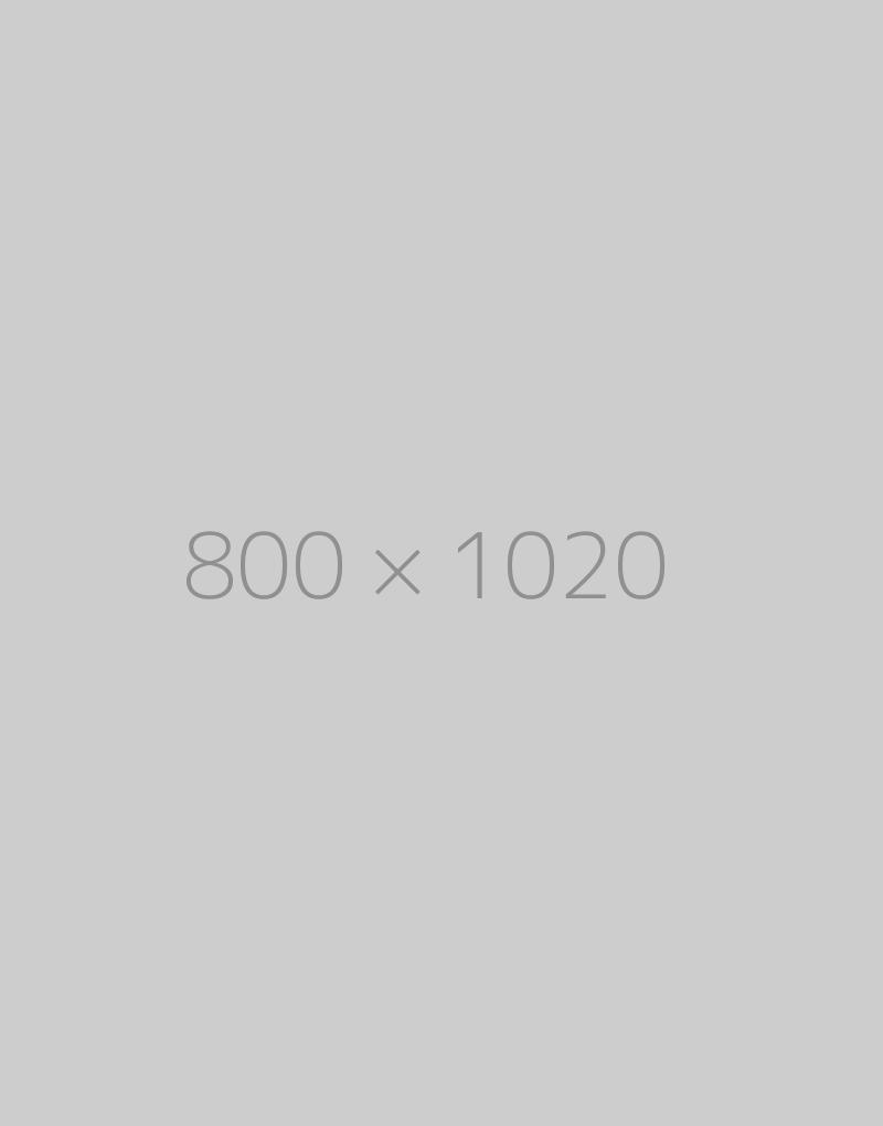 hongo 800×1020-ph